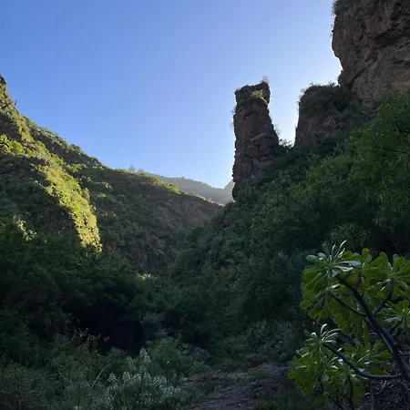 Casa Rural Los Tilos Betancor * Moya (Gran Canaria)